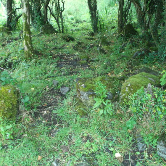 Looking north east showing overgrowth  at 'entrance' prior to clearance