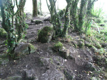 Looking south west showing wall within the north western extent of structure