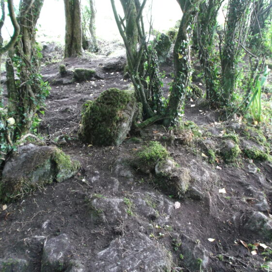 Looking south west showing wall within the north western extent of structure | B. Doherty 2017