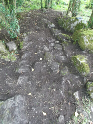 Linear features depicting structure associated with Killaan Holy Well
