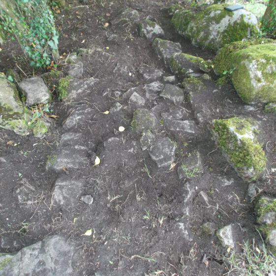 Linear features depicting structure associated with Killaan Holy Well | B. Doherty 2017