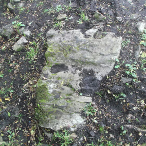 Possible kneeling stone | B. Doherty 2017