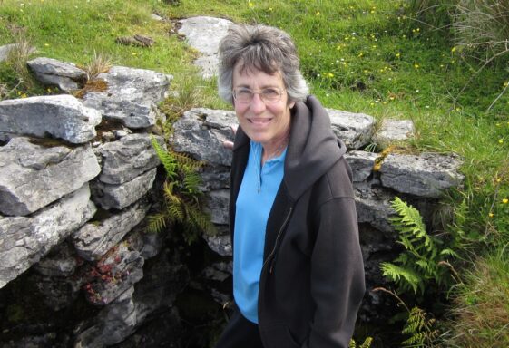 Holy Well Searching