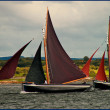 Galway Hookers