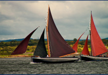 Galway Hookers
