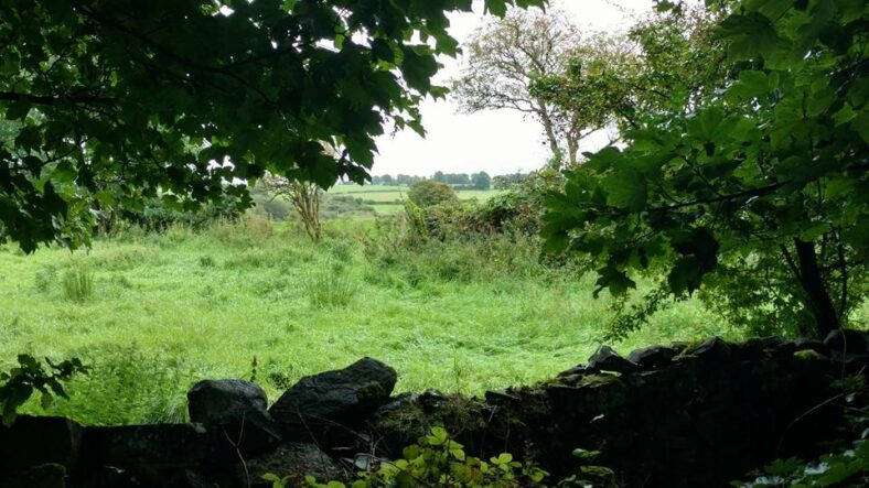 Part of the old stone wall