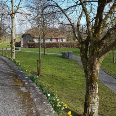 Milltown Heritage Park. Springtime 2018 | Photo: Jacinta Fahy (Johnny Ryan Photography)