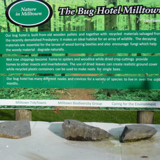The Bug Hotel