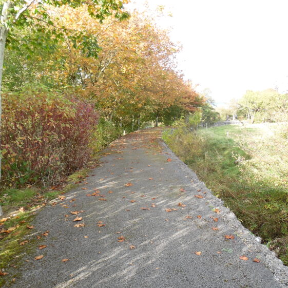 River Walk