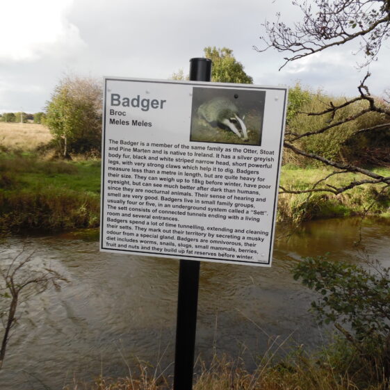 Badger