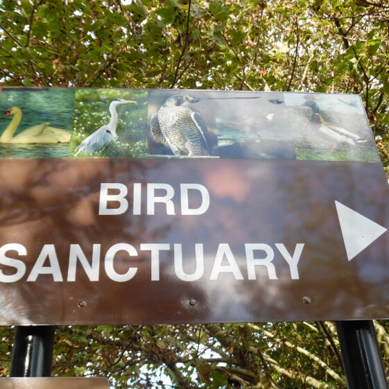 Bird Sanctuary