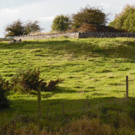 Children's Burial Ground