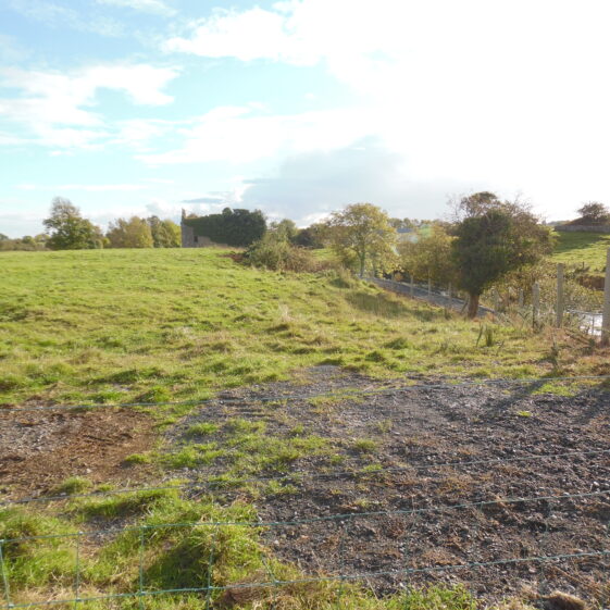 View from Russelstown bridge