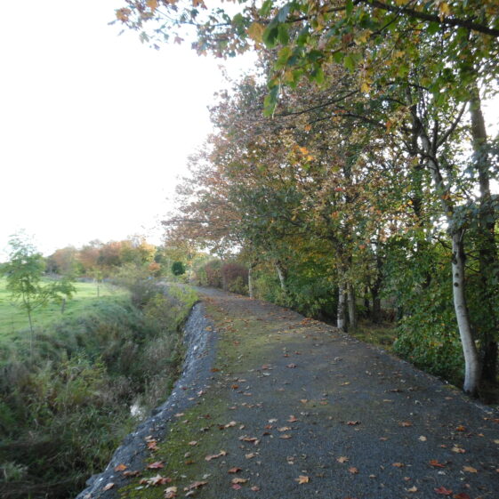 On the way back