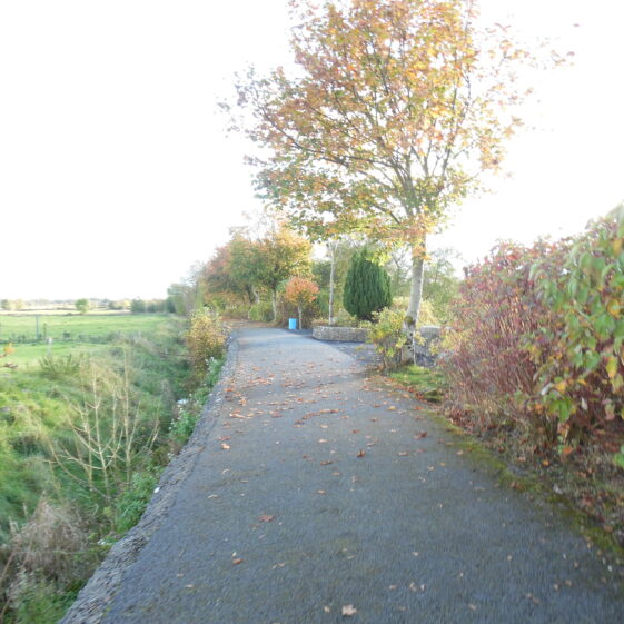 Sun shining on an Autumn's day