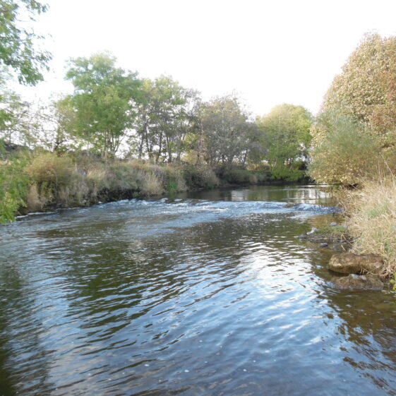 River Clare