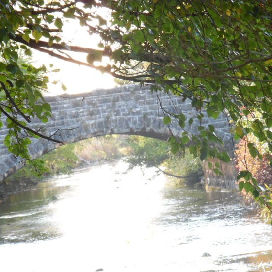 Bridge