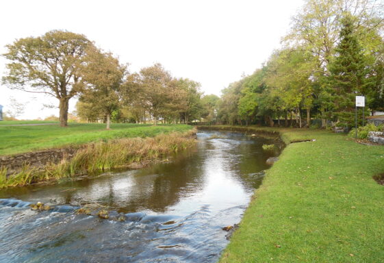 Discover the heritage of Clare River
