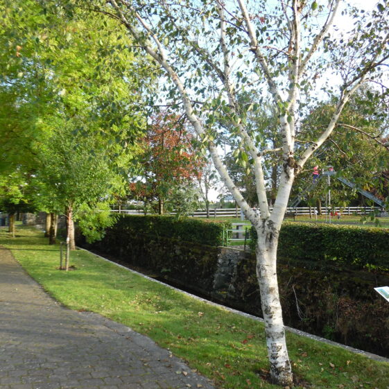 Milltown Park