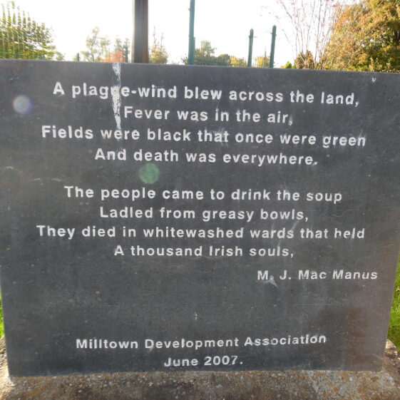 A walk in the park