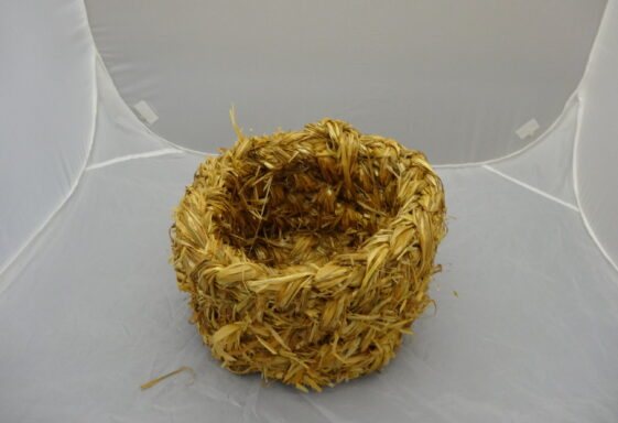 Egg basket