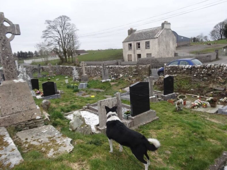 Old Addergoole graveyard | Photo: Pauline Connolly