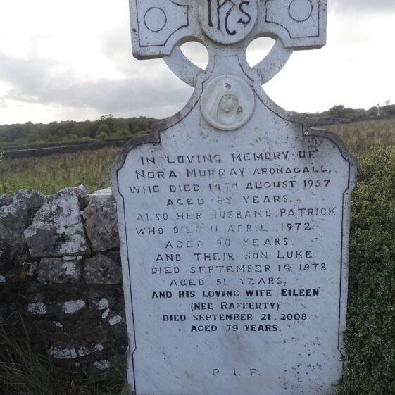 KY-116-B KY-116-B