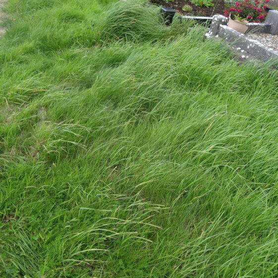 KY-216-A Kilclooney Graveyard