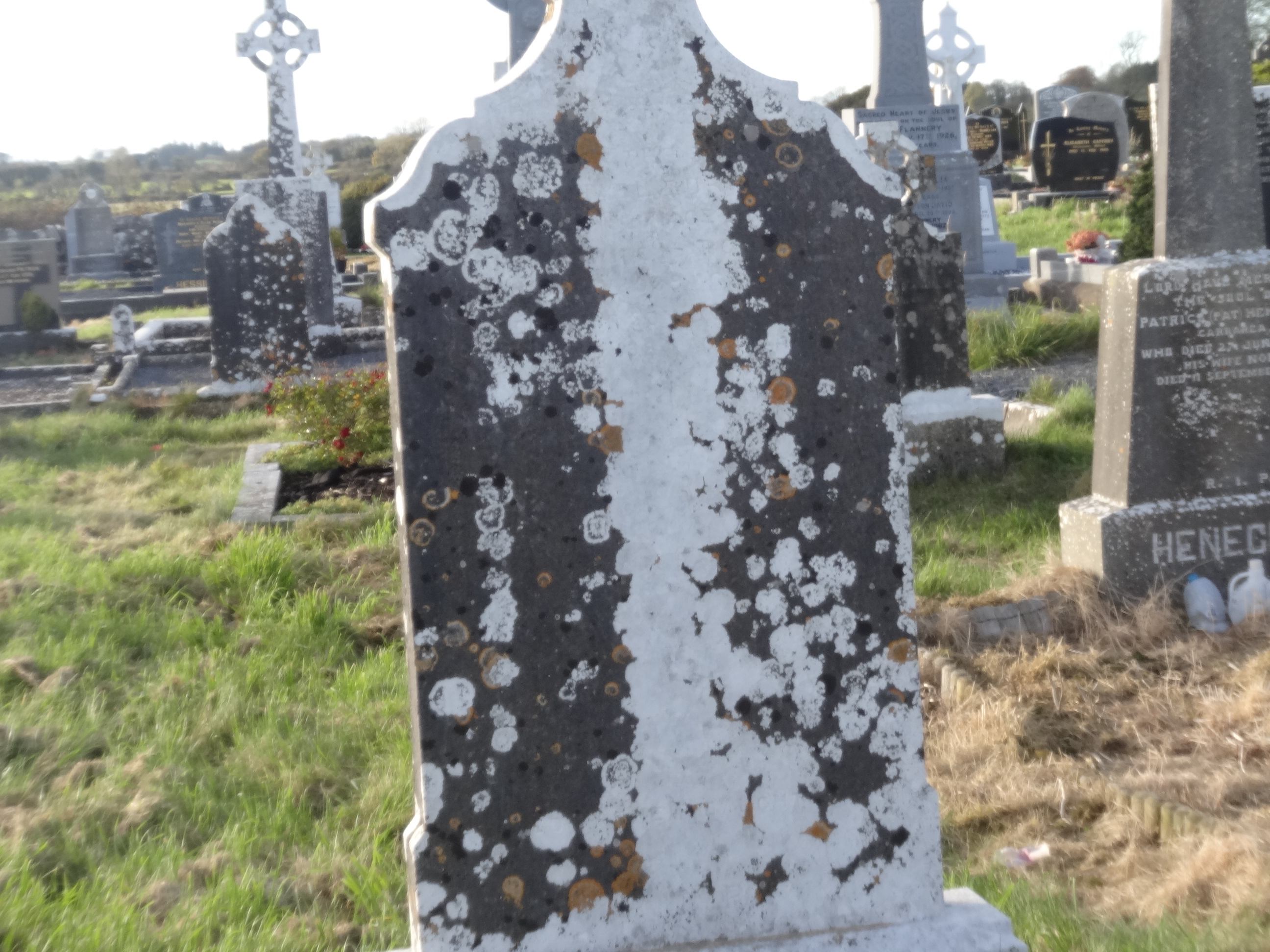 Kilclooney Graveyard Milltown Heritage Group