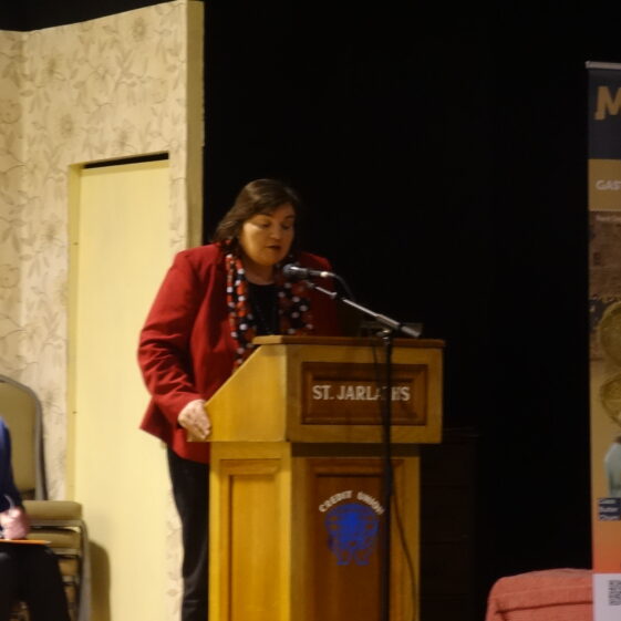Cllr Mary Hoade 