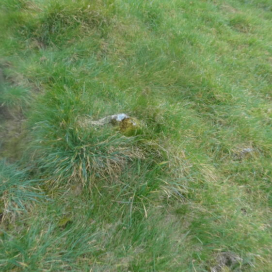AEO-251-B AEO-251-B