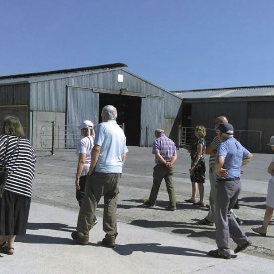 Athenry12 Successful day | Photo: A Cosgrove