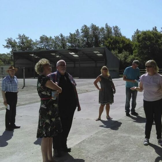 Athenry7 Sunshine in Athenry | Photo: A Cosgrove