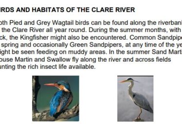River Clare