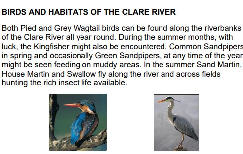 Birds and Habitats