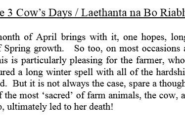The 3 Cow's Days