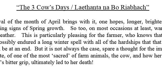 The 3 Cow's Days