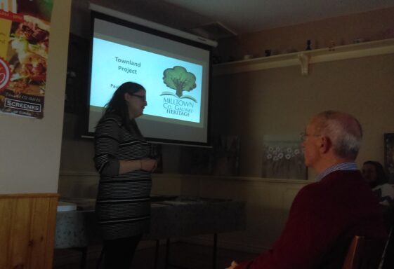 Mapping Milltown Townlands