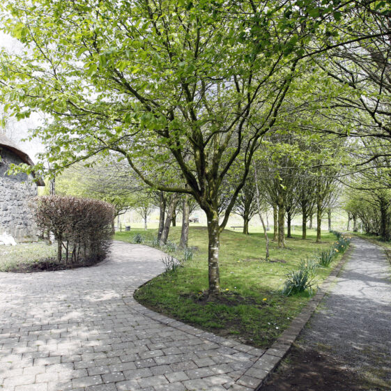 Imagery of Milltown