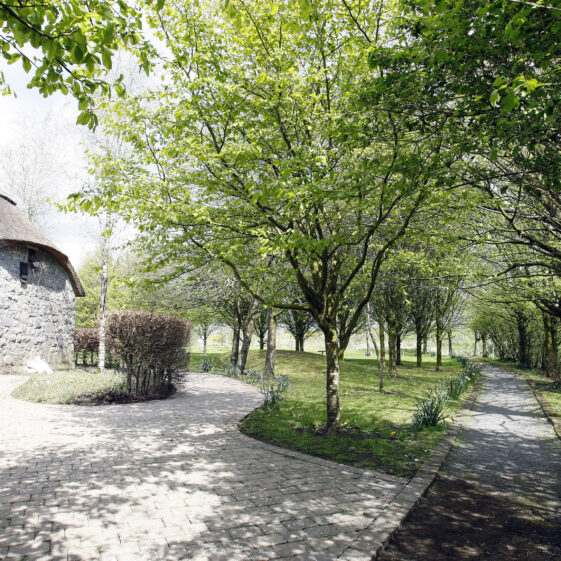 Imagery of Milltown