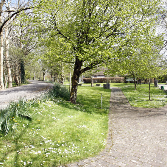Imagery of Milltown