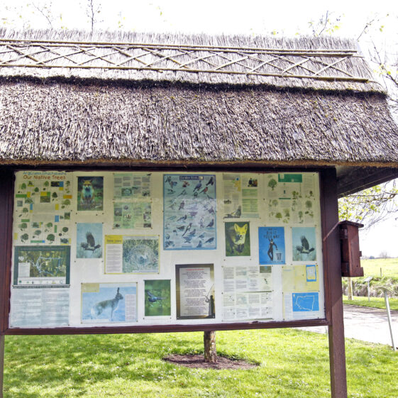 Imagery of Milltown
