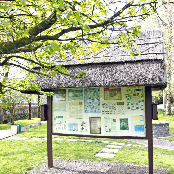 Imagery of Milltown