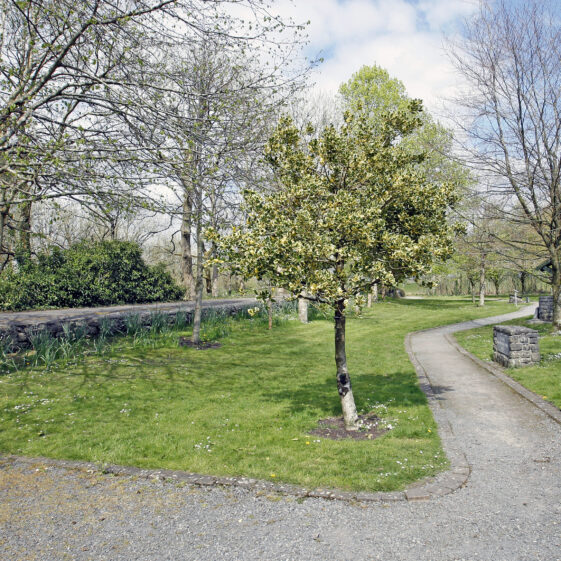 Imagery of Milltown