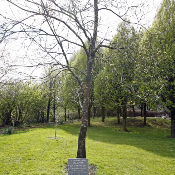 Imagery of Milltown