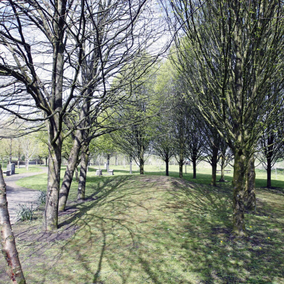 Imagery of Milltown