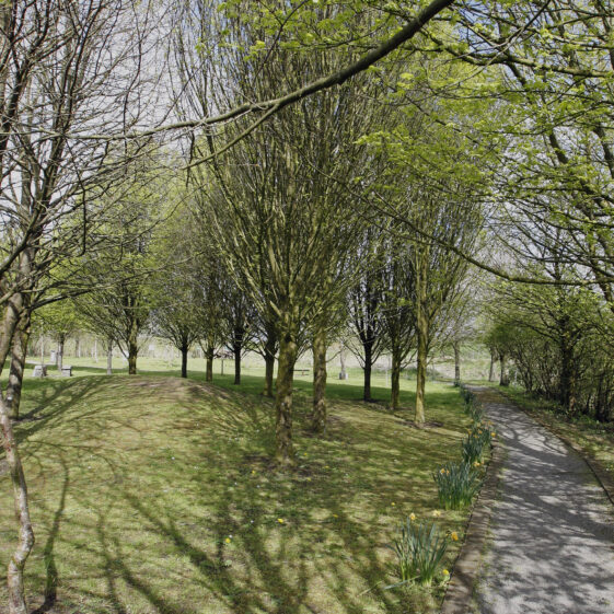 Imagery of Milltown