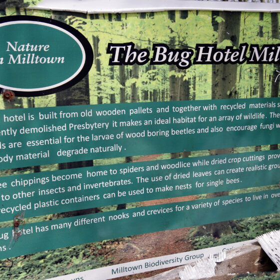Imagery of Milltown
