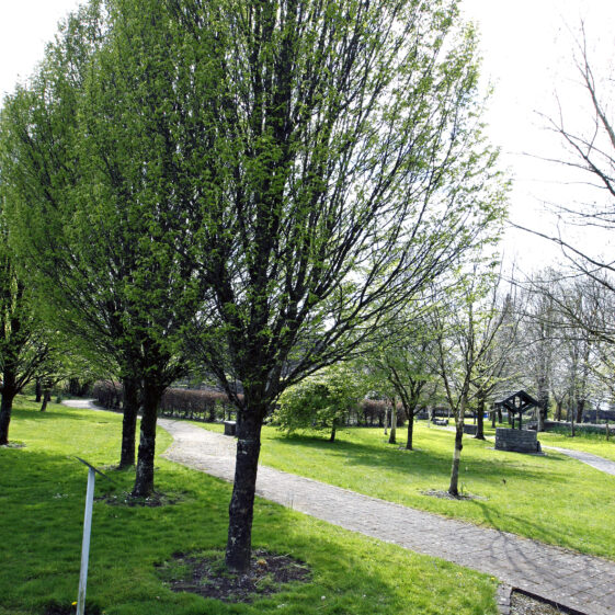 Imagery of Milltown