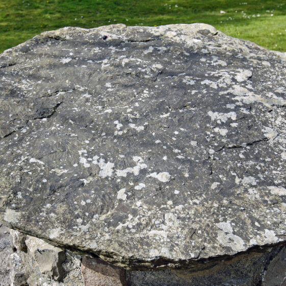 Imagery of Milltown